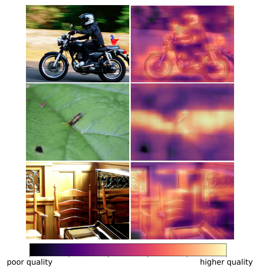 Spatial quality maps generated using the P2P-RM. Left: Original Images. Right: Quality maps blended with the originals using magma color.