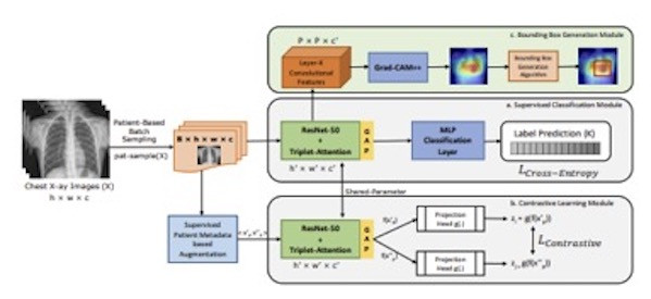 SCALP Framework